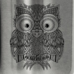 Лупоглазая совушка