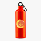 Металлическая бутылка 700 мл UV-DTF