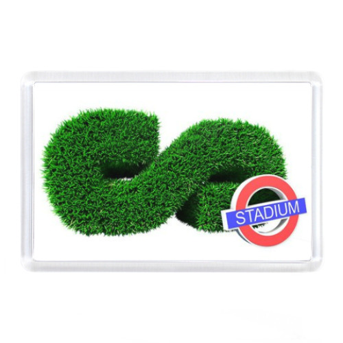 Магнит с принтом Stadium Live