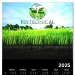 Psytronical