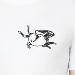 Скифский заяц