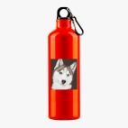 Металлическая бутылка 700 мл UV-DTF