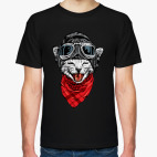 Кот авиатор