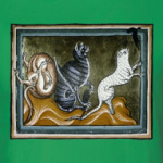 Котики