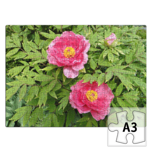 Пазл с принтом Пионы