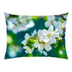 запах весны