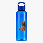 Прозрачная спортивная бутылка