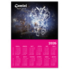 для близнецов