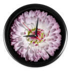 Маргаритка