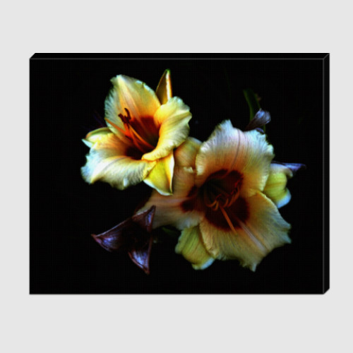 Холст с принтом Лилии