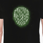 развитие / рост / процветание