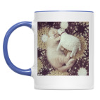 Котенок с овечкой