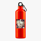 Металлическая бутылка 700 мл UV-DTF