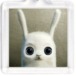 Заяц-неформал