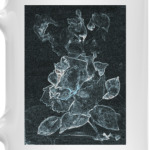 Зимняя рапсодия