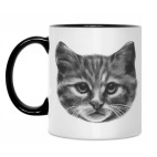 Кружка двухцветная