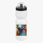 Велобутылка