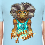 Примат Листа.