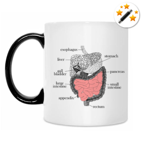 Кружка-хамелеон с принтом Пищеварительная система