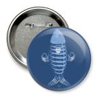 Animal Zen: X is for X-ray tetra