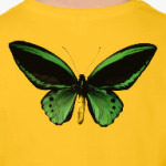 Крылья Бабочка