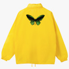 Ветровка с капюшоном