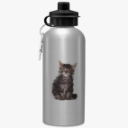 Спортивная бутылка