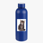 Термобутылка