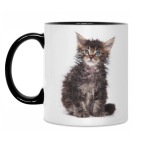 Кружка двухцветная