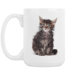 Кошки и котята