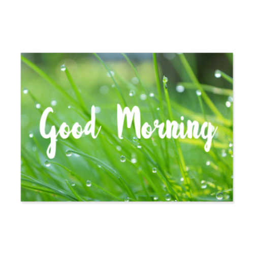 Виниловые наклейки с принтом Капли росы