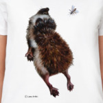 Миленькие такие ежики