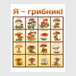 Я-грибник!