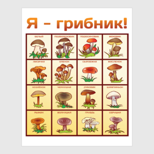 Постер Я-грибник!