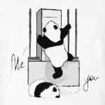 Climbing animals: Panda