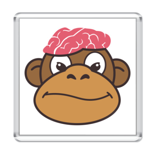 Магнит с принтом  Обезьяньи мозги