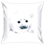 Малыш тюлень