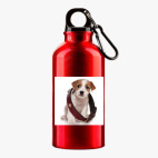 Металлическая бутылка 400 мл UV-DTF