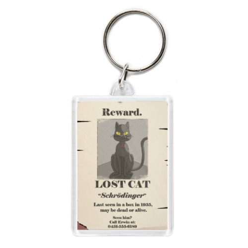Брелок  кот Шредингера