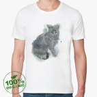 Серый сердитый кот