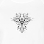 Руна Альгиз и черный лис