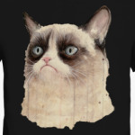 Grumpy Cat / Сердитый Кот