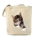 Холщовая сумка