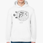 Толстовка худи