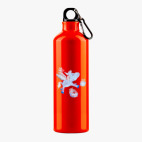 Металлическая бутылка 700 мл UV-DTF