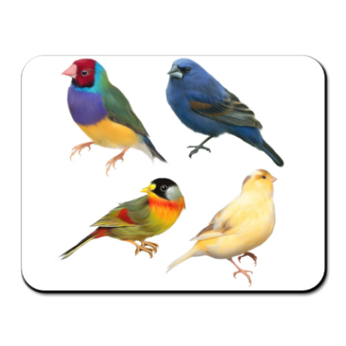 Коврик для мыши Птицы