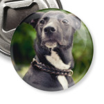 Вдохновение