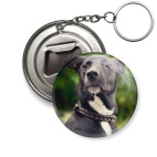 Вдохновение