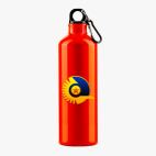 Металлическая бутылка 700 мл UV-DTF