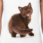 Милые котики, коты и котята